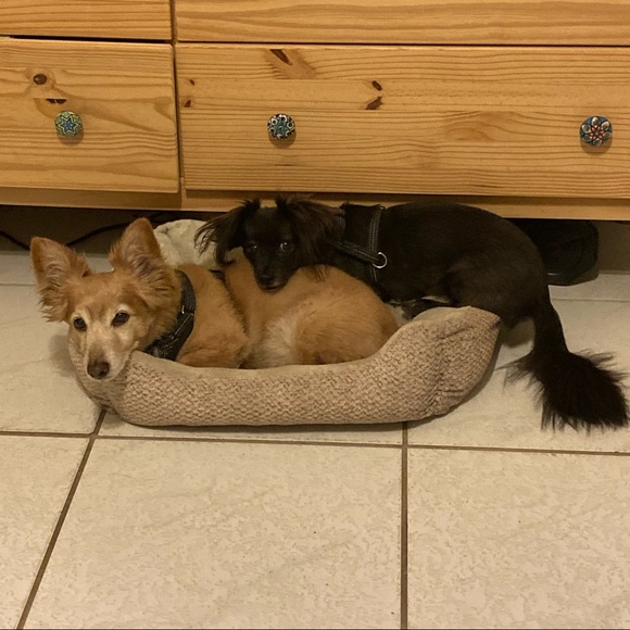 Hi Friend :) - Picture 1 of 2